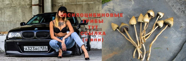 МДПВ Аркадак