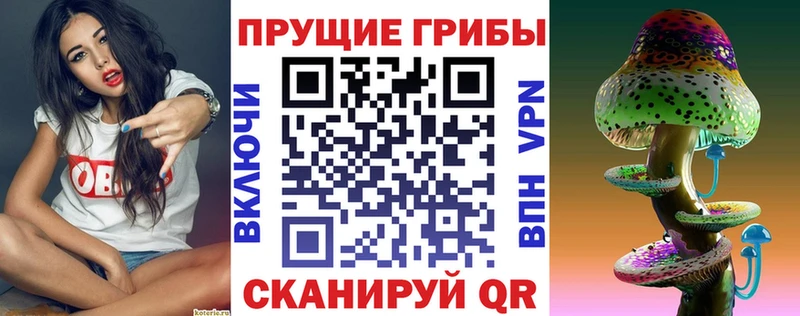 Псилоцибиновые грибы прущие грибы  Болохово 