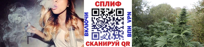 Каннабис индика  Болохово 